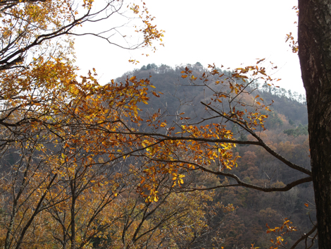 20181126hike (216)